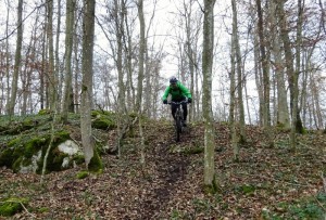 Hirschi Trail